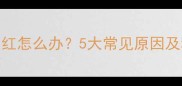 泰迪犬粪便发红怎么办5大常见原因及科学应对指南