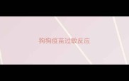 狗狗疫苗过敏反应