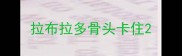 拉布拉多骨头卡住