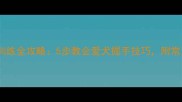 泰迪犬握手训练全攻略5步教会爱犬握手技巧附常见问题解答