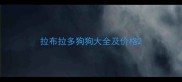 拉布拉多狗狗大全及价格
