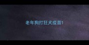 老年狗打狂犬疫苗