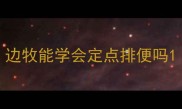 边牧能学会定点排便吗
