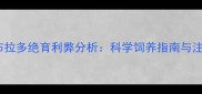 公犬拉布拉多绝育利弊分析科学饲养指南与注意事项