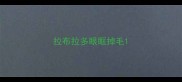 拉布拉多眼眶掉毛