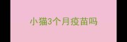 小猫3个月疫苗吗