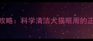 宠物洗眼液使用全攻略科学清洁犬猫眼周的正确步骤与注意事项