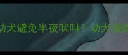 如何科学训练拉布拉多幼犬避免半夜吠叫幼犬锻炼指南与行为矫正全攻略
