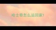 哈士奇怎么运回家
