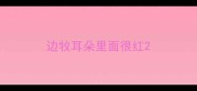 边牧耳朵里面很红