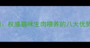 科学喂养指南权威猫咪生肉喂养的八大优势与风险防控