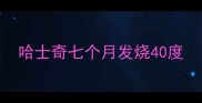 哈士奇七个月发烧40度