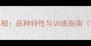 哈士奇吹口哨的真相品种特性与训练指南附科学养护建议