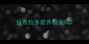 拉布拉多能养卧室吗