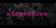 珠海哪里有宠物店卖狗