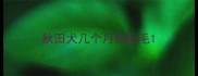 秋田犬几个月换胎毛
