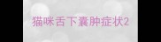猫咪舌下囊肿症状