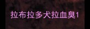 拉布拉多犬拉血臭
