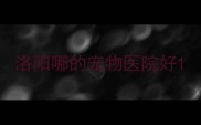 洛阳哪的宠物医院好