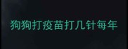 狗狗打疫苗打几针每年