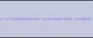 五个月大的狗狗能吃磨牙棒吗幼犬磨牙棒喂养全指南附品牌推荐
