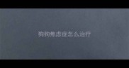 狗狗焦虑症怎么治疗