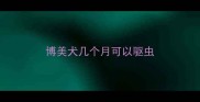 博美犬几个月可以驱虫