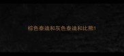 棕色泰迪和灰色泰迪和比熊