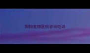 狗狗宠物医院咨询电话