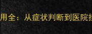 猫咪发烧治疗费用全从症状判断到医院挂号全流程指南