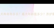拉布拉多犬寿命有多长最大年龄是多少养护要点全