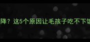 边牧7月半食欲骤降这5个原因让毛孩子吃不下饭附拯救方案