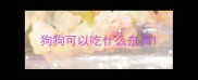 狗狗可以吃什么东西