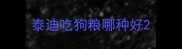 泰迪吃狗粮哪种好