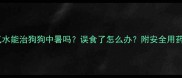 藿香正气水能治狗狗中暑吗误食了怎么办附安全用药指南