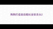 狗狗打疫苗后呕吐发软舌头