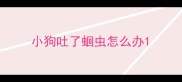 小狗吐了蛔虫怎么办