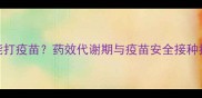 狗狗吃完药多久能打疫苗药效代谢期与疫苗安全接种指南附时间表