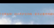 3-6个月黄金期幼犬养护全攻略新手必看养狗避坑指南