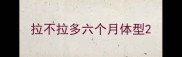 拉不拉多六个月体型