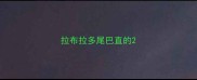 拉布拉多尾巴直的