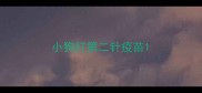 小狗打第二针疫苗