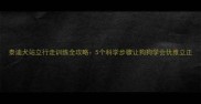 泰迪犬站立行走训练全攻略5个科学步骤让狗狗学会优雅立正