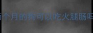 两个月的狗可以吃火腿肠吗