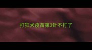 打狂犬疫苗第3针不打了