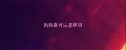 狗狗寄养注意事项