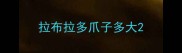 拉布拉多爪子多大