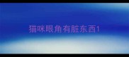 猫咪眼角有脏东西