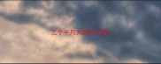 三个半月大的哈士奇