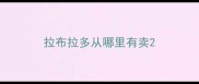 拉布拉多从哪里有卖